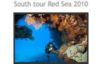 South tour Red Sea 2010
