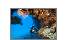 South tour Red Sea 2010