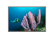 Bonaire, etliche Jahre